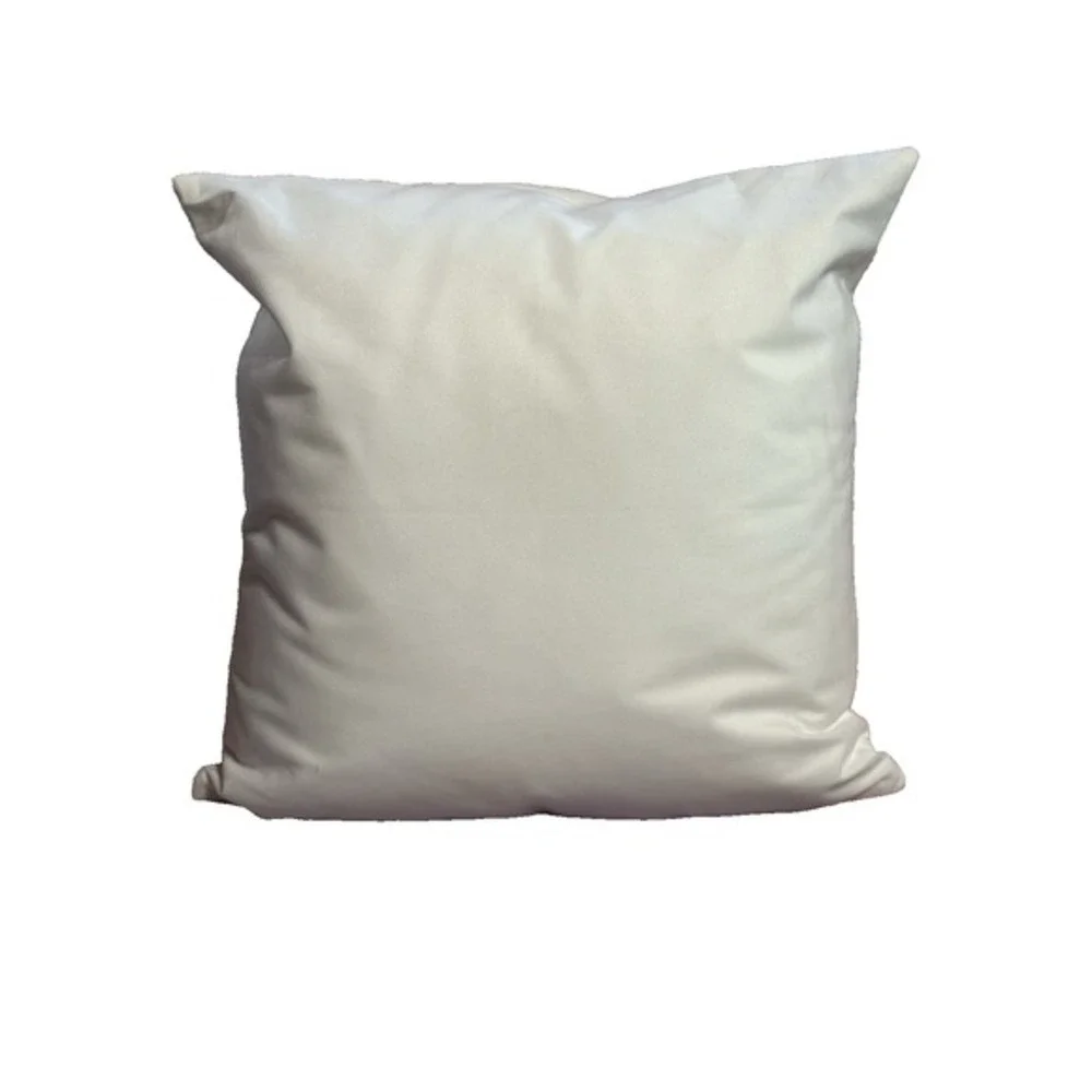 NEW novelty throw pillow 18x18 inches pillowcase & insert‎ included